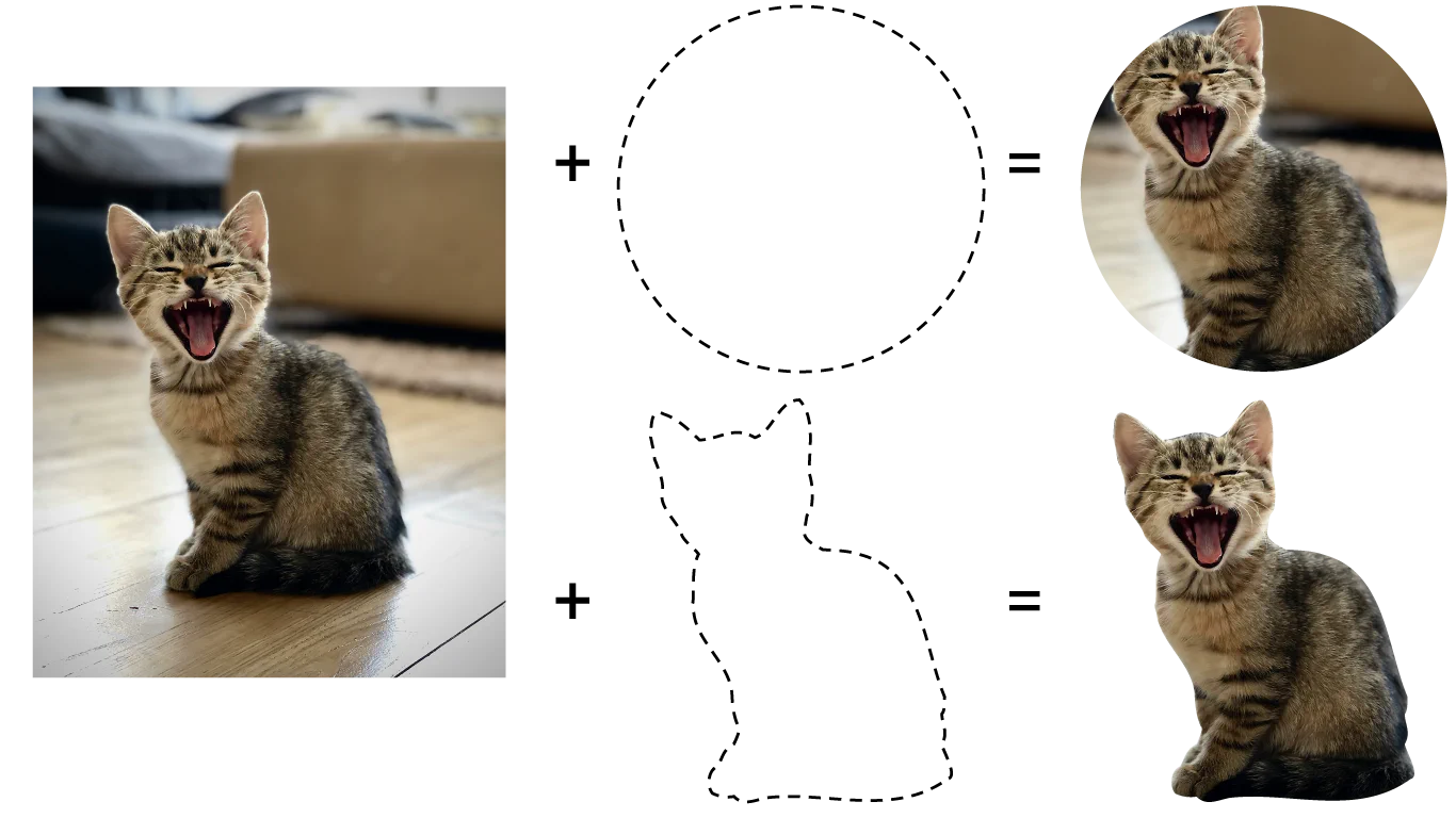 How clipping can affect, in particular, an image: In this image, a photo of a kitten is clipped at both a circle, as well as a complex clip path that outlines the kitten in its entirety.